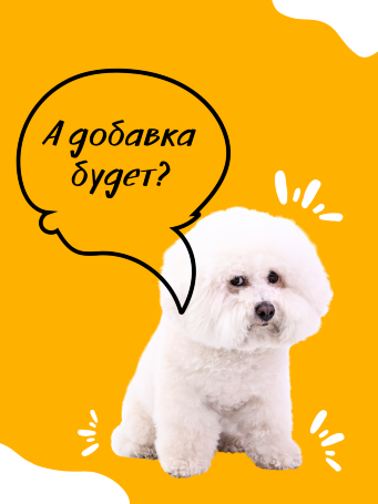 Для  мелких пород "ХОЛИСТИК" с Ягненком и индейкой, 3 кг