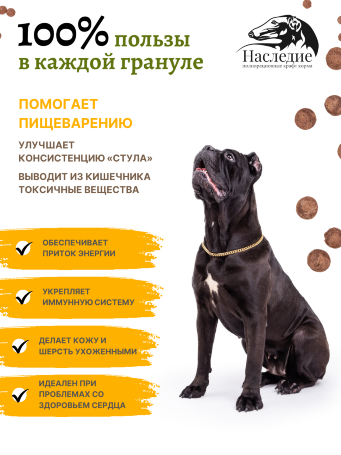 "Актив" с говядиной/рубцом для крупных и средних пород собак, 20 кг