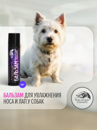 Бальзам-стик для лап и носа Наследие, 10гр