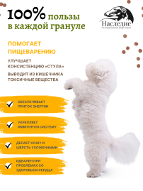 Для мелких пород "ГИПОАЛЛЕРГЕННЫЙ" с Лососем, 2.5 кг