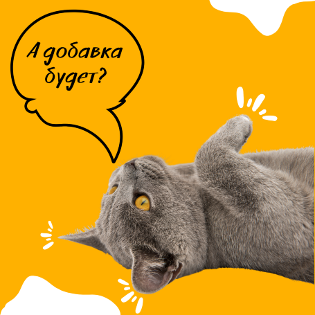 ХОЛИСТИК для взрослых кошек с Лососем Наследие 1.5 кг