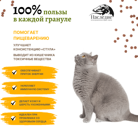 ХОЛИСТИК для взрослых кошек с Лососем Наследие 0.6 кг