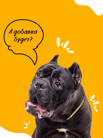 "Супер-премиум" для средних и крупных пород с говядиной, 10 кг