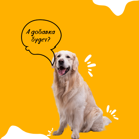 Для средних и крупных пород "Ультра Гипо" с Олениной, 20 кг