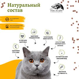 СУПЕР ПРЕМИУМ для взрослых кошек с Индейкой и Уткой 0.6 кг