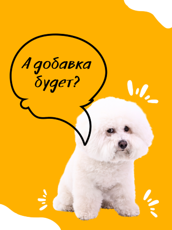 Для мелких пород "ГИПОАЛЛЕРГЕННЫЙ" с Лососем, 5 кг