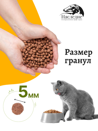 "Супер-премиум" с Лососем для взрослых кошек 2,5 кг