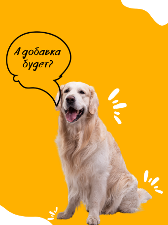 Dermatosis для средних и крупных пород