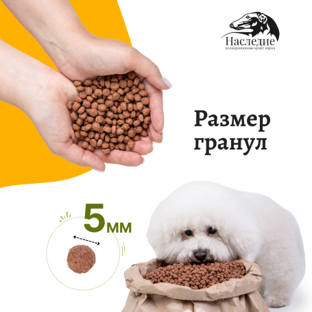 Dermatosis для мелких пород собак