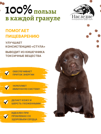 Для щенков крупных пород "СУПЕР-ПРЕМИУМ" с Говядиной, 10 кг