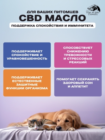 Наследие Oil CBD, 250 мл