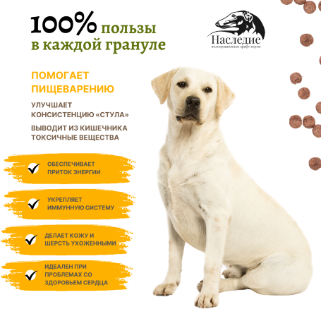 Наследие холистик Кролик/Индейка для средних пород собак