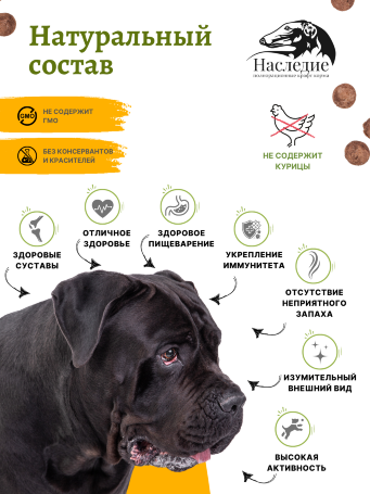 "Актив" с говядиной/рубцом для крупных и средних пород собак, 5 кг