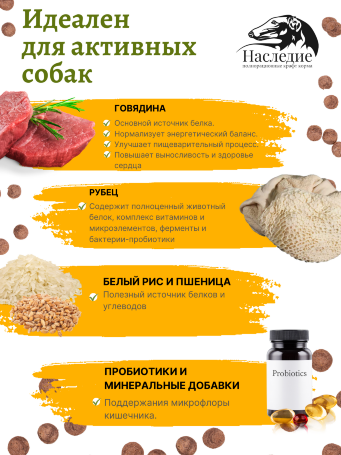 "Актив" с говядиной/рубцом для крупных и средних пород собак, 5 кг