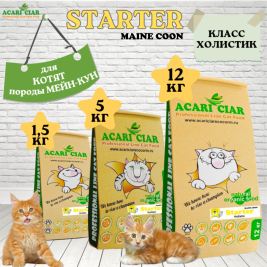 CAT Starter Maine Coon Holistic для котят 12 kg
