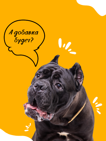 "Актив" с говядиной/рубцом для крупных и средних пород собак, 10 кг