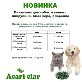 Витаминный комплекс "Спирулина+Хлорелла+Алоэ-вера" 200 шт