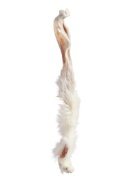 Ухо кролика Гигант - 1 шт