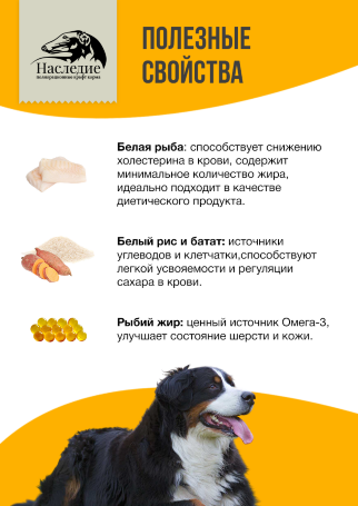 Гипоаллергенный корм для собак крупных пород "Oceanic", 20 кг