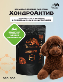 Витамины Наследие ХондроАктив, 500 гр