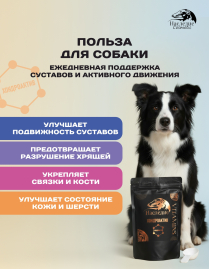 Витамины Наследие ХондроАктив, 500 гр