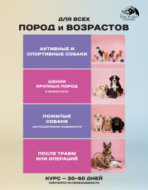 Витамины Наследие ХондроАктив, 500 гр