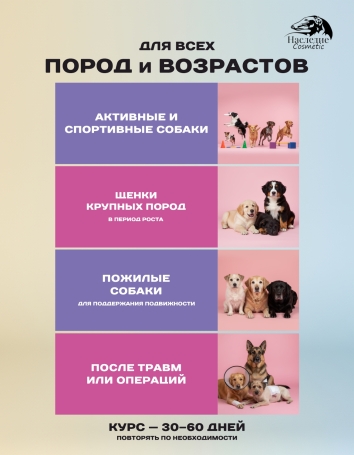 Витамины Наследие ХондроАктив, 500 гр